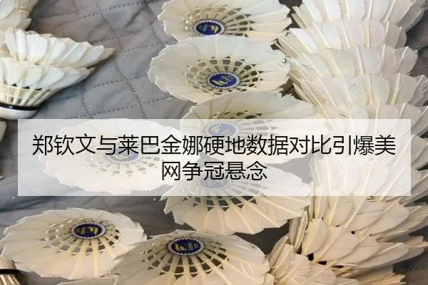 郑钦文与莱巴金娜硬地数据对比引爆美网争冠悬念
